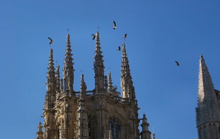 Spagna - Burgos